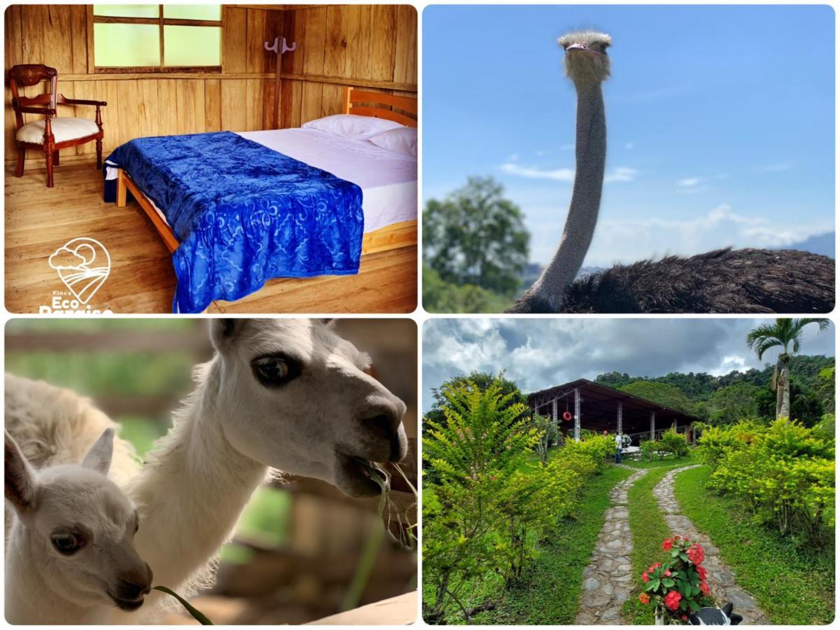 Finca Ecoparaiso Ibagué Εξωτερικό φωτογραφία