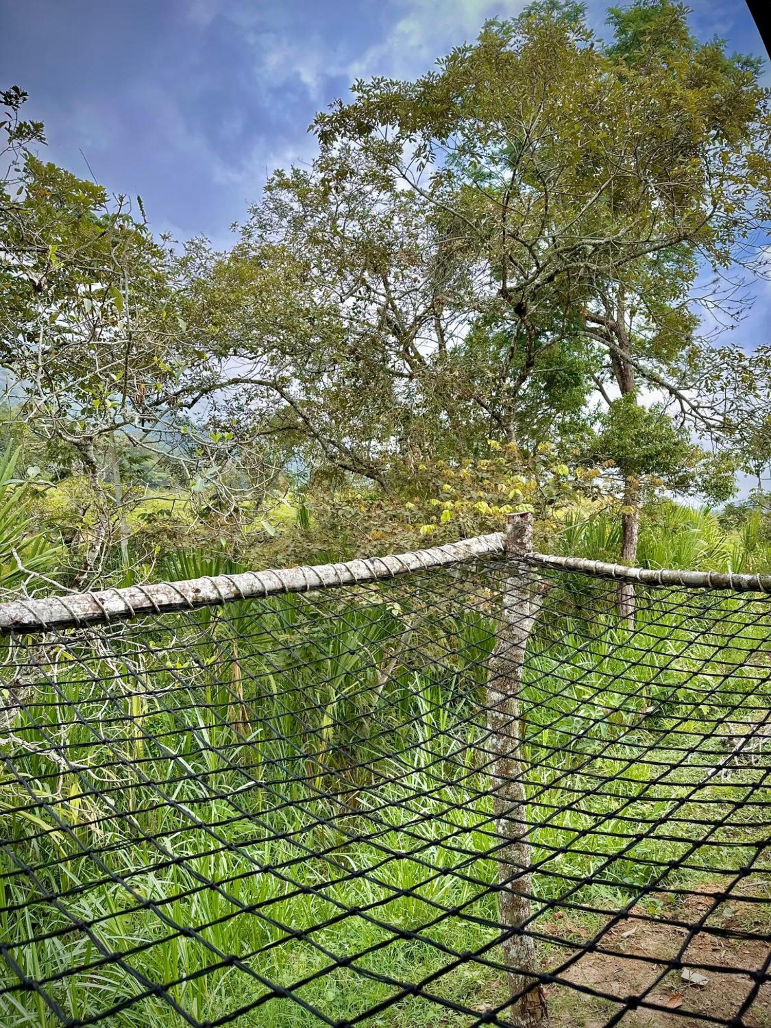 Finca Ecoparaiso Ibagué Εξωτερικό φωτογραφία